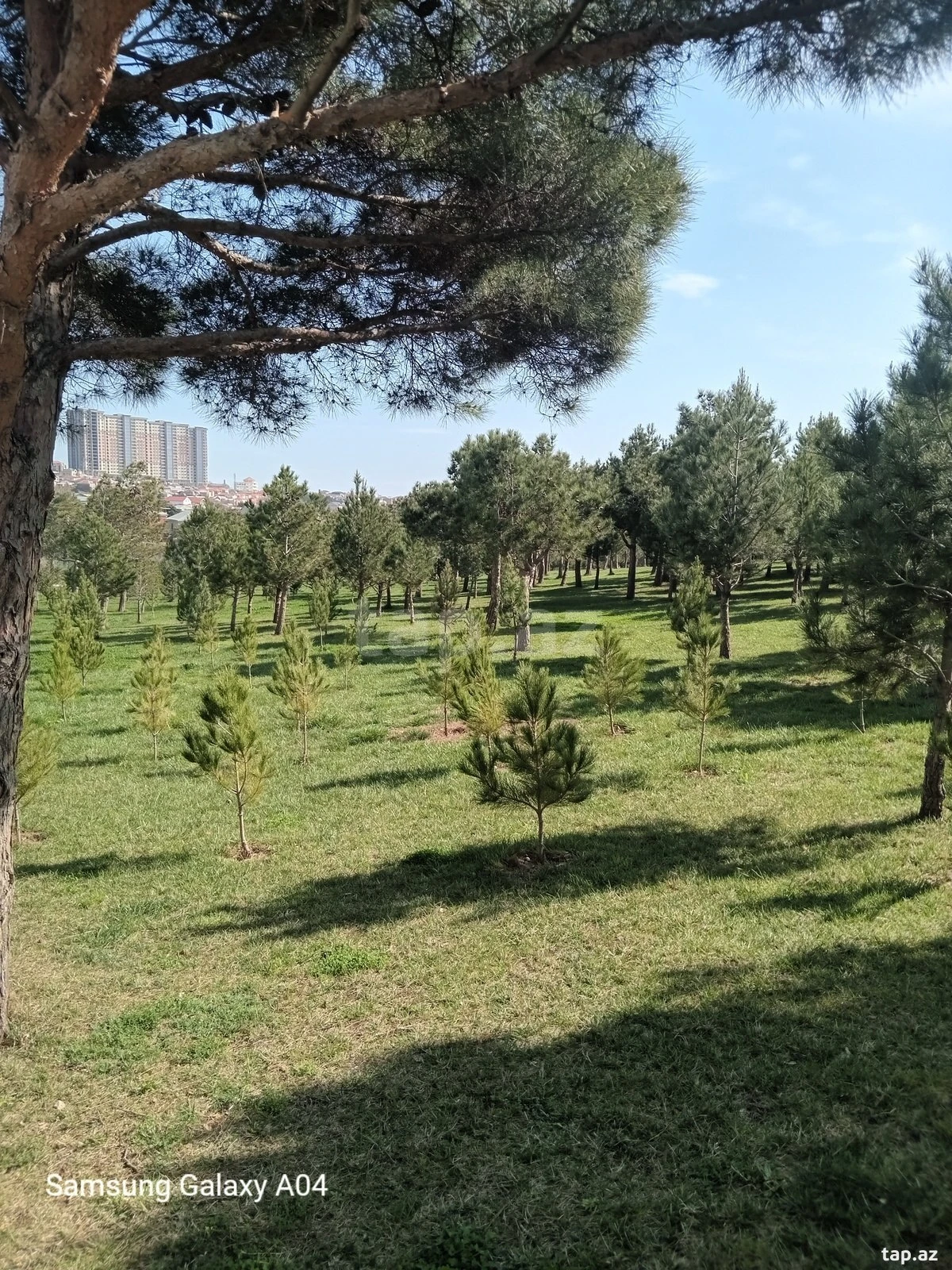 Satılır 2 otaqlı yeni tikili 55 m²