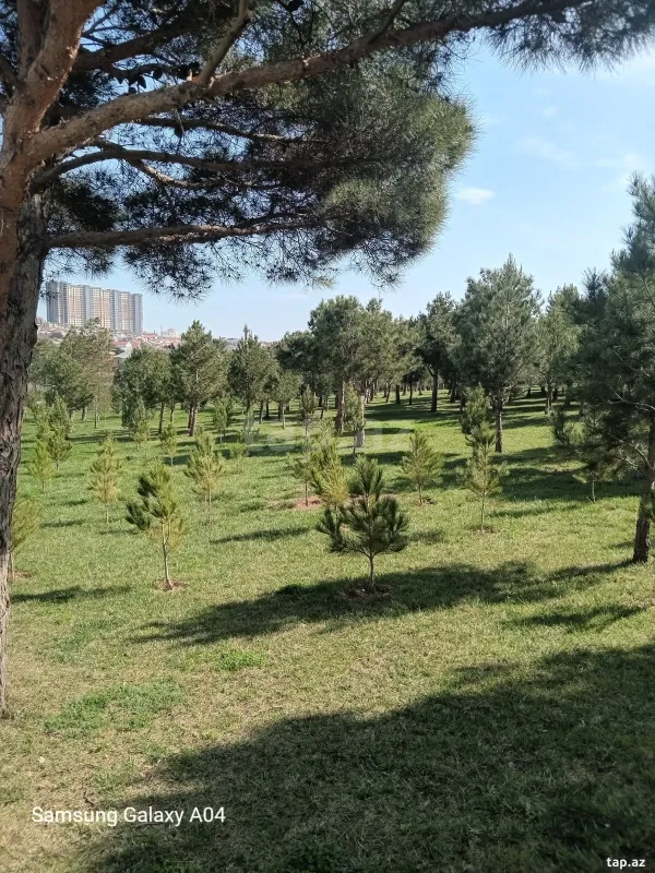 Satılır 2 otaqlı yeni tikili 55 m²