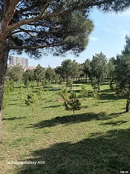 Satılır 2 otaqlı yeni tikili 55 m²