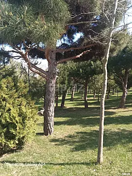 Satılır 2 otaqlı yeni tikili 55 m²