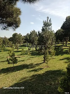 Satılır 2 otaqlı yeni tikili 55 m²