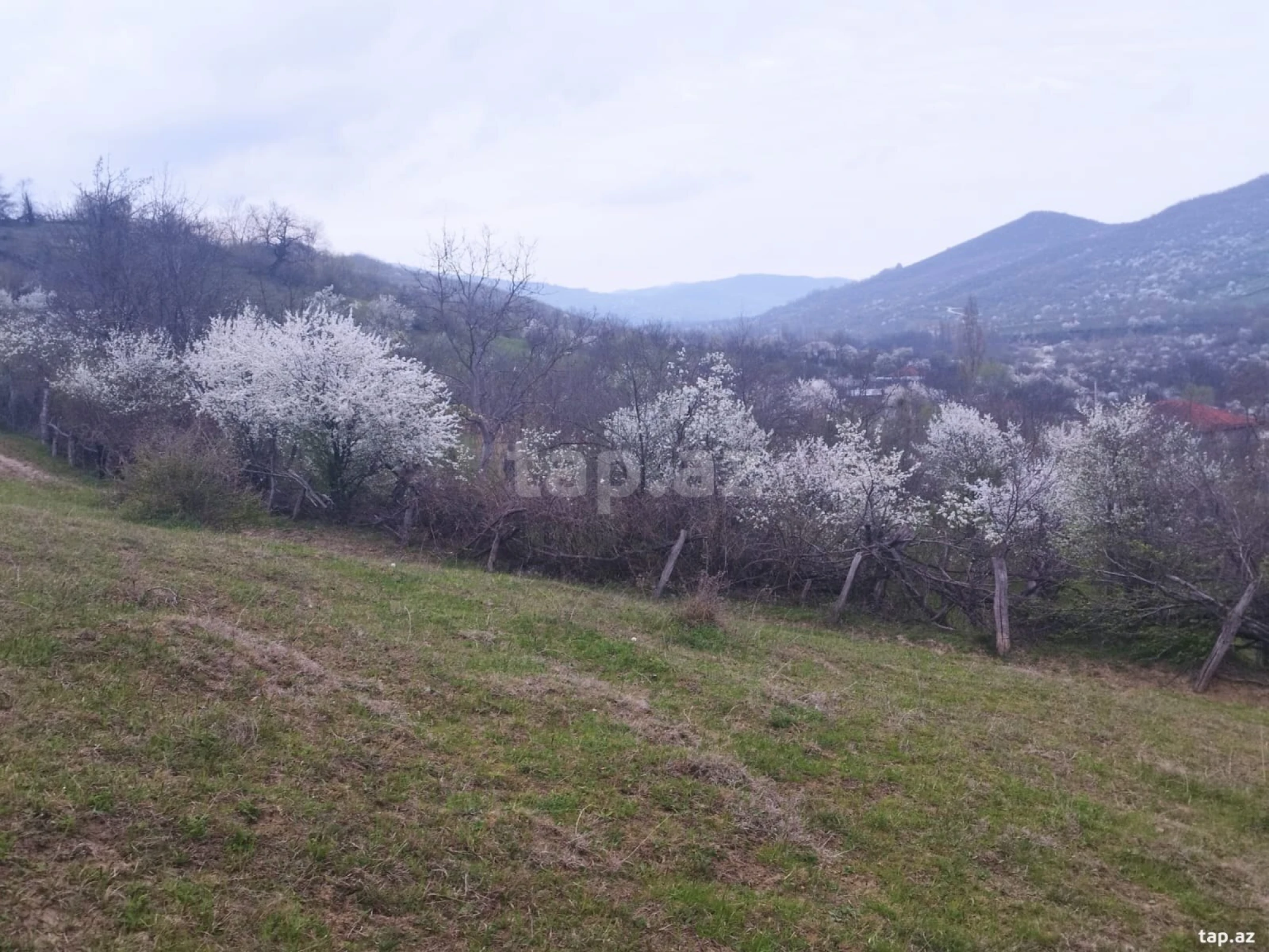 Satılır torpaq sahəsi