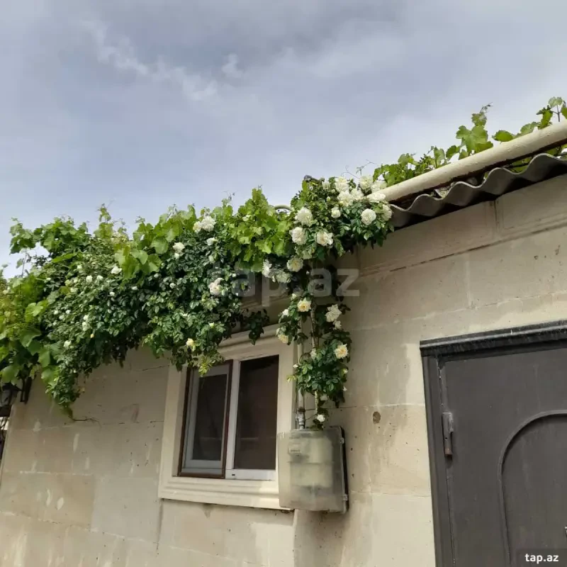 Kirayə verilir 1 otaqlı həyət evi 40 m²
