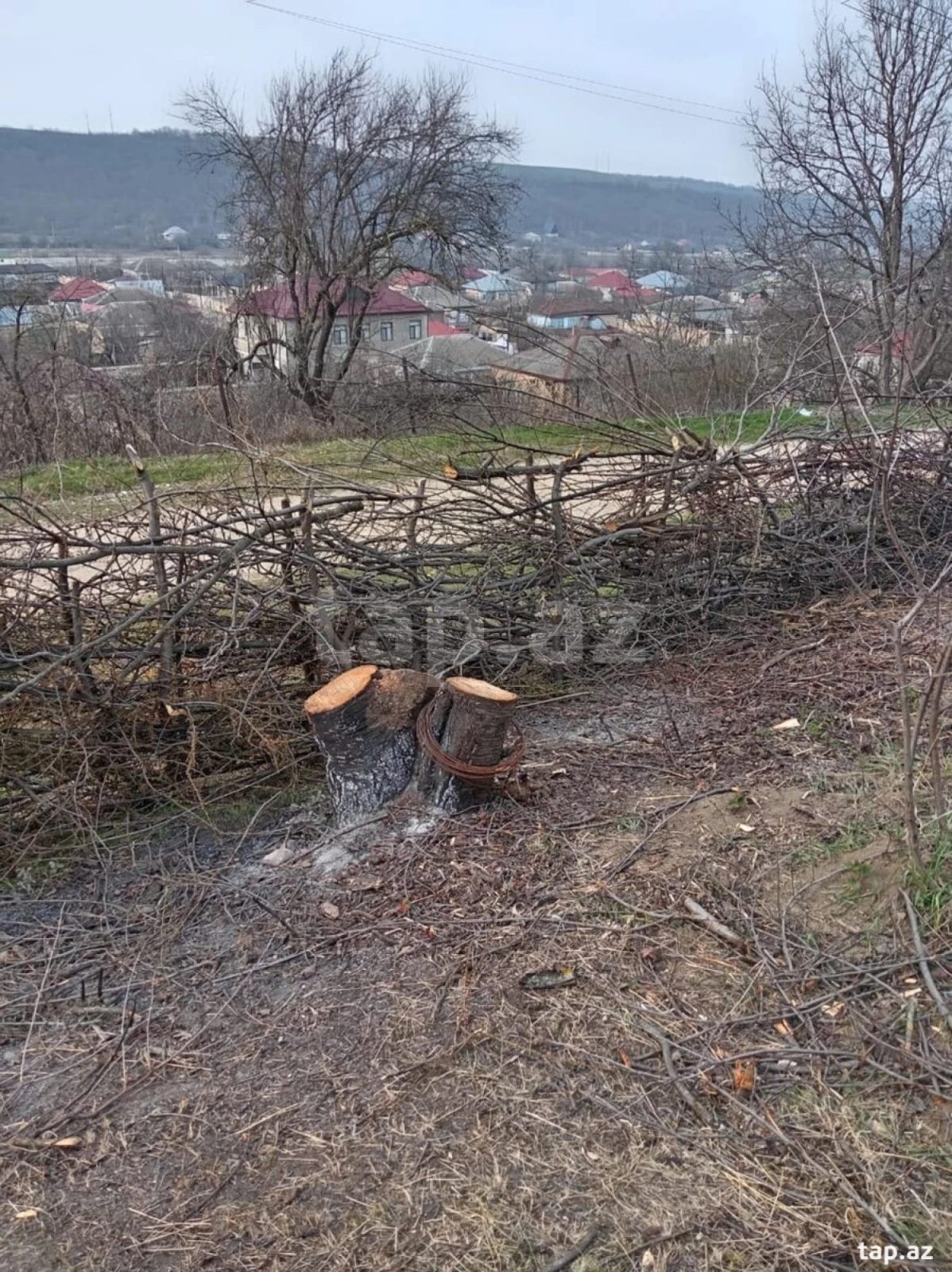 Satılır torpaq sahəsi