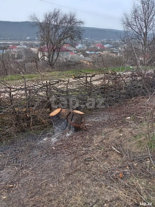 Satılır torpaq sahəsi