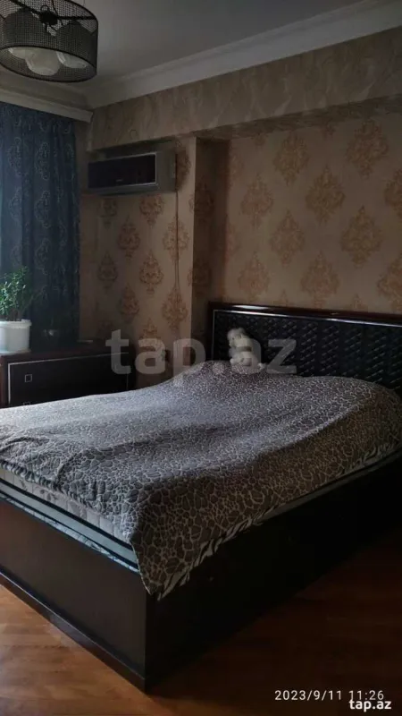 Kirayə verilir 2 otaqlı yeni tikili 78 m²