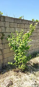 Satılır 4 otaqlı həyət evi 100 m²