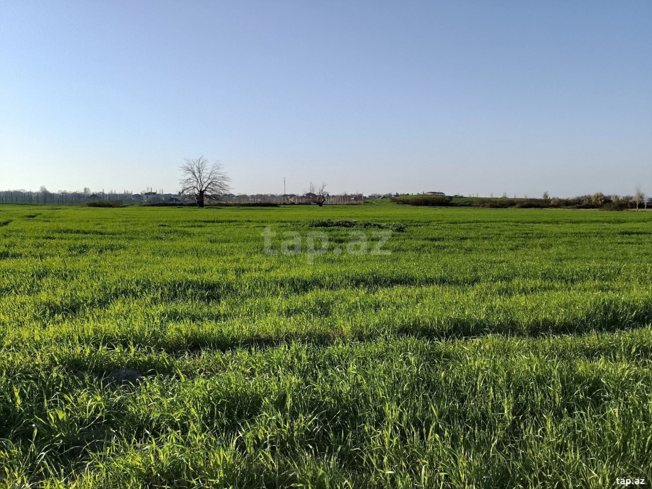 Satılır torpaq sahəsi