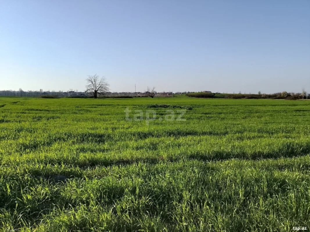 Satılır torpaq sahəsi