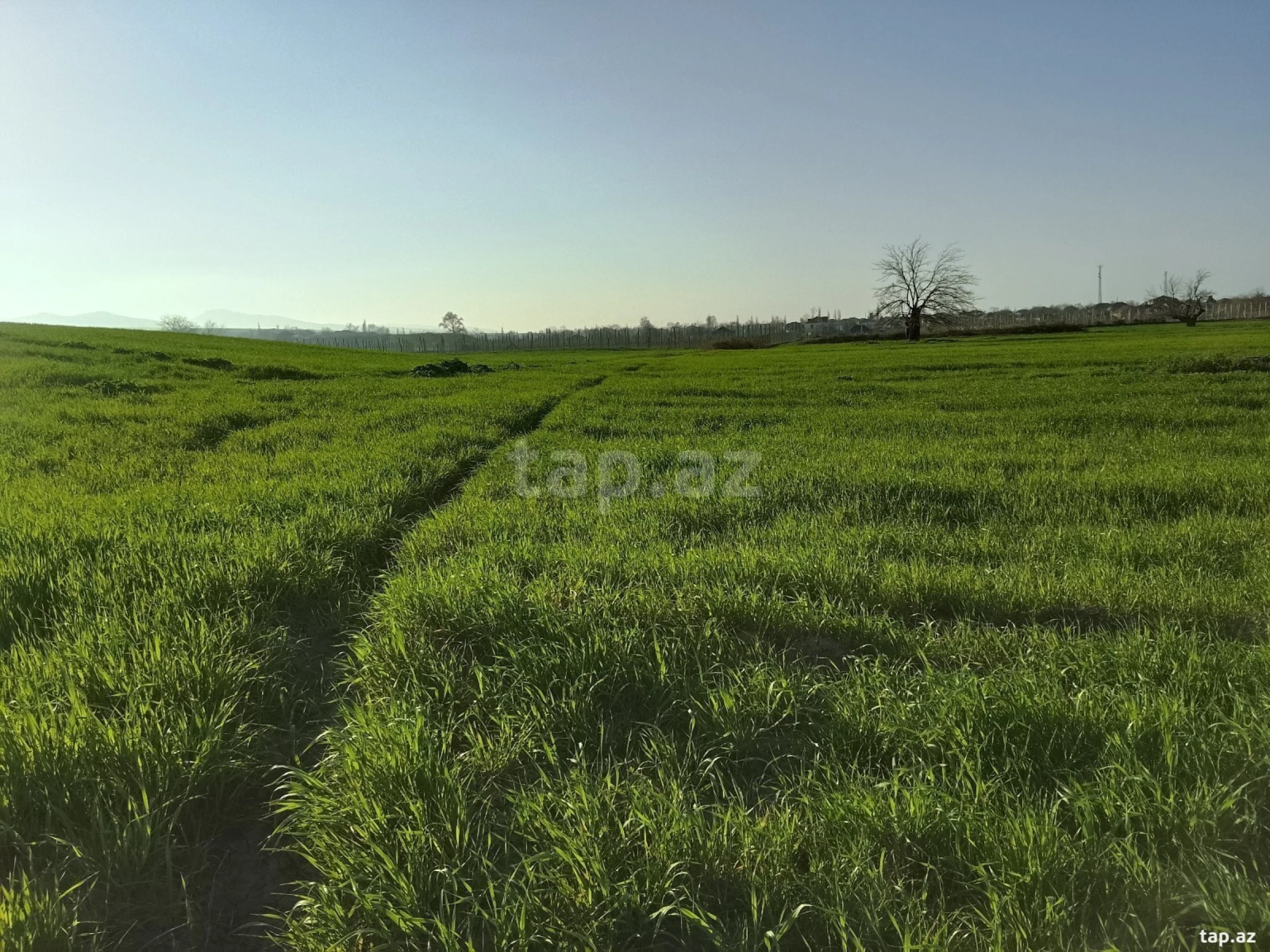 Satılır torpaq sahəsi