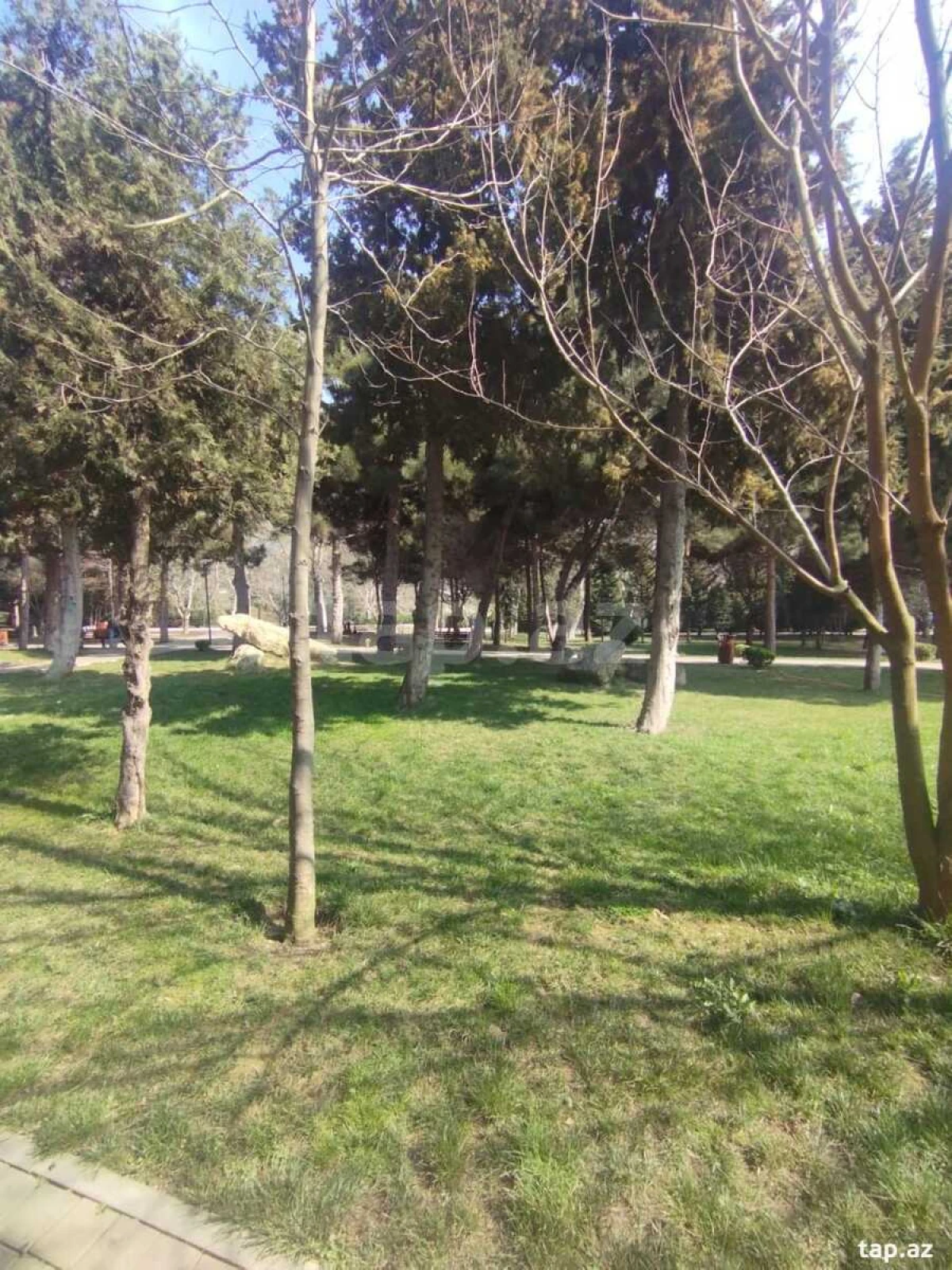 Kirayə verilir 2 otaqlı mənzil 50 m²