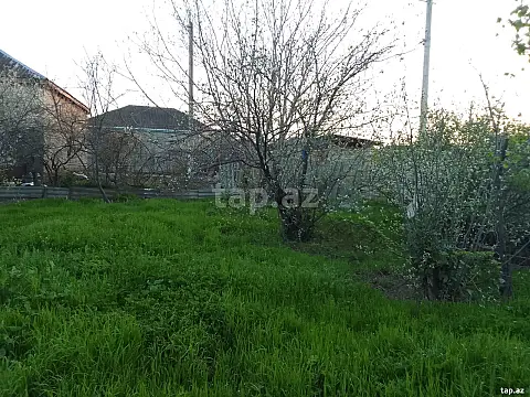 Satılır torpaq sahəsi — Şabran