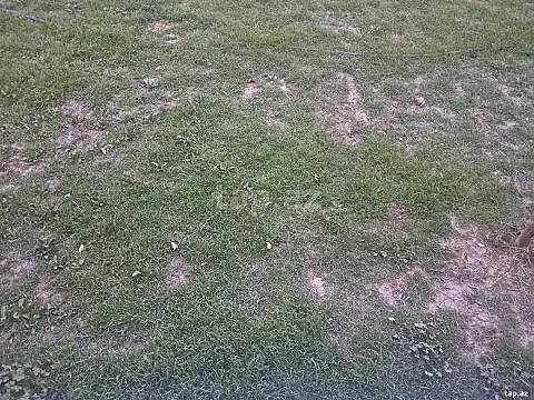 Satılır torpaq sahəsi — Kürdəmir