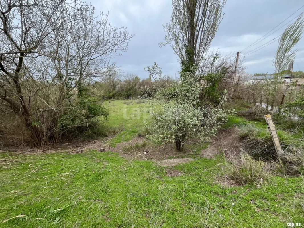 Satılır torpaq sahəsi