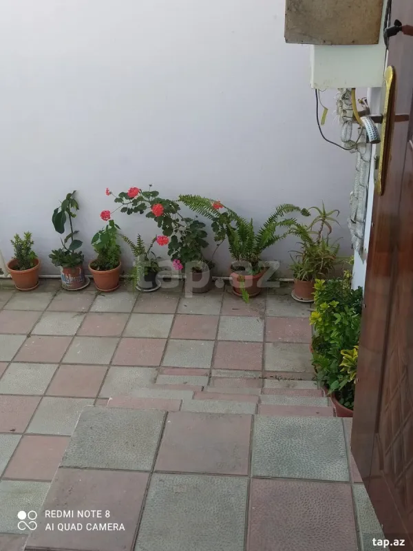 Kirayə verilir 2 otaqlı həyət evi 65 m²