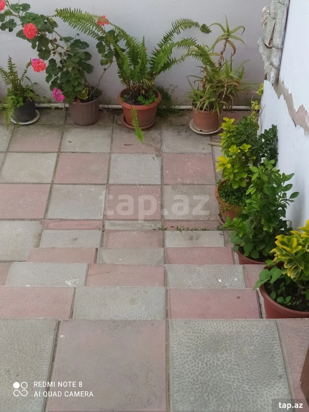 Kirayə verilir 2 otaqlı həyət evi 65 m²