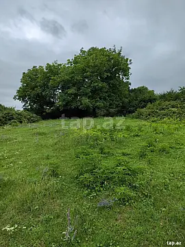 Satılır torpaq sahəsi — Quba