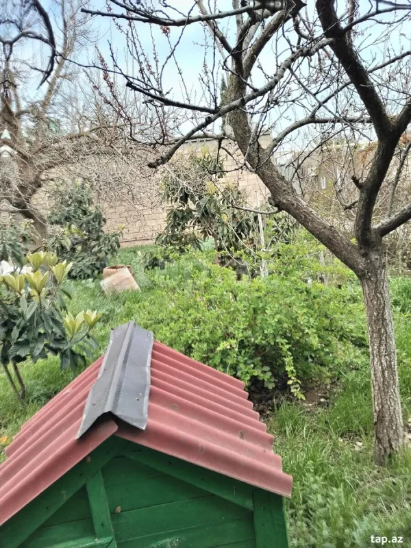 Satılır 10 otaqlı həyət evi 250 m²