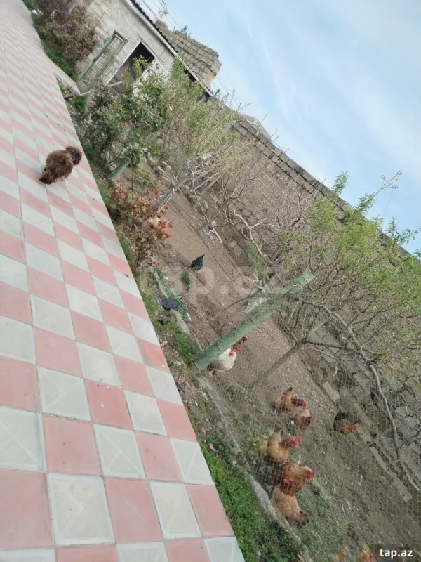 Satılır 10 otaqlı həyət evi 250 m²