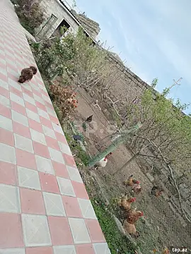 Satılır 10 otaqlı həyət evi 250 m²