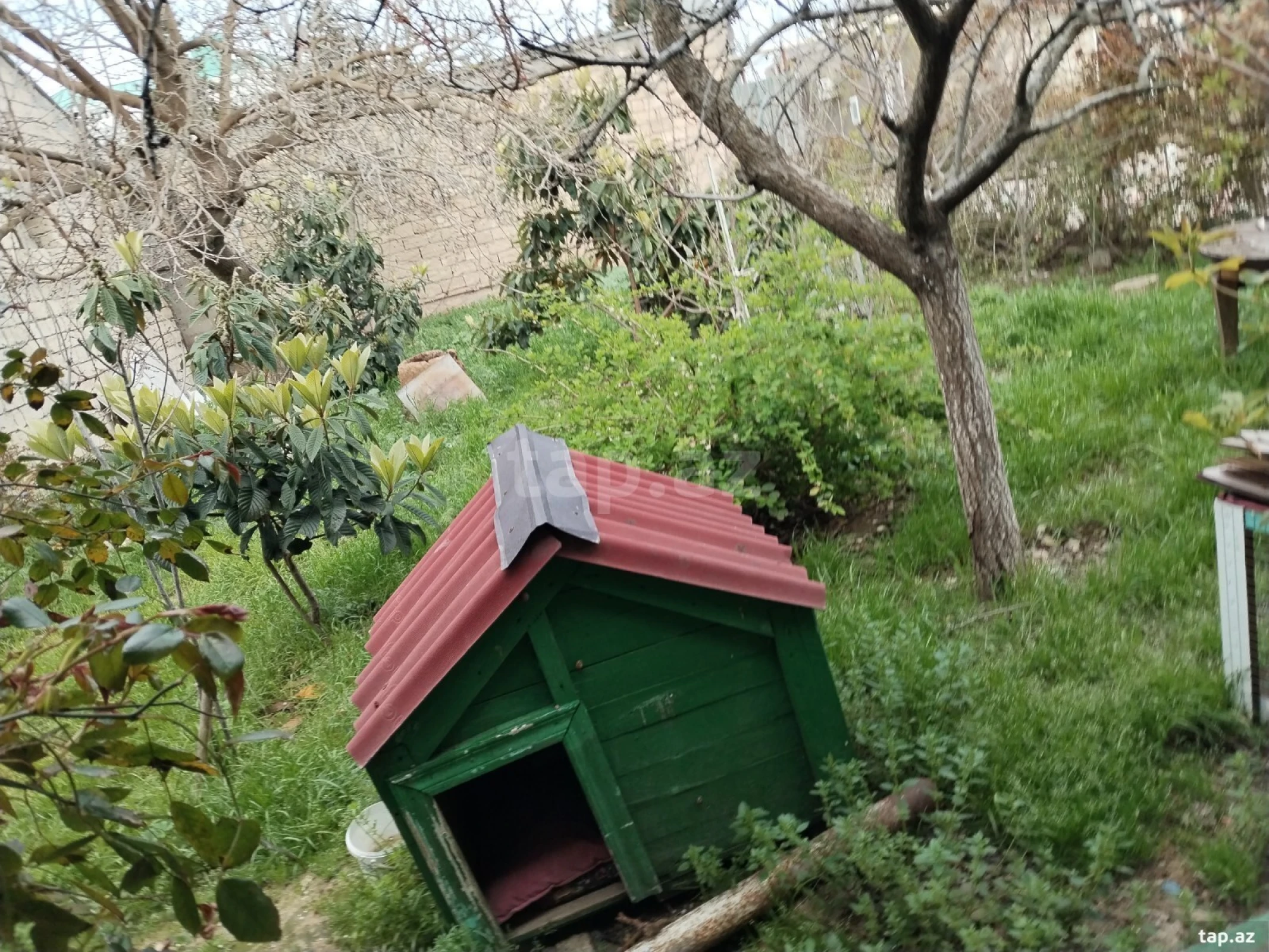 Satılır 10 otaqlı həyət evi 250 m²