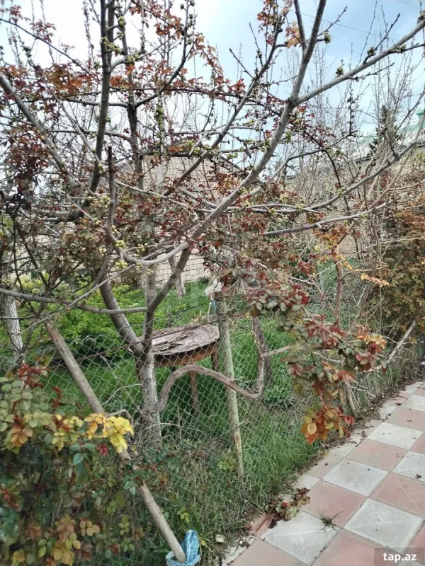 Satılır 10 otaqlı həyət evi 250 m²