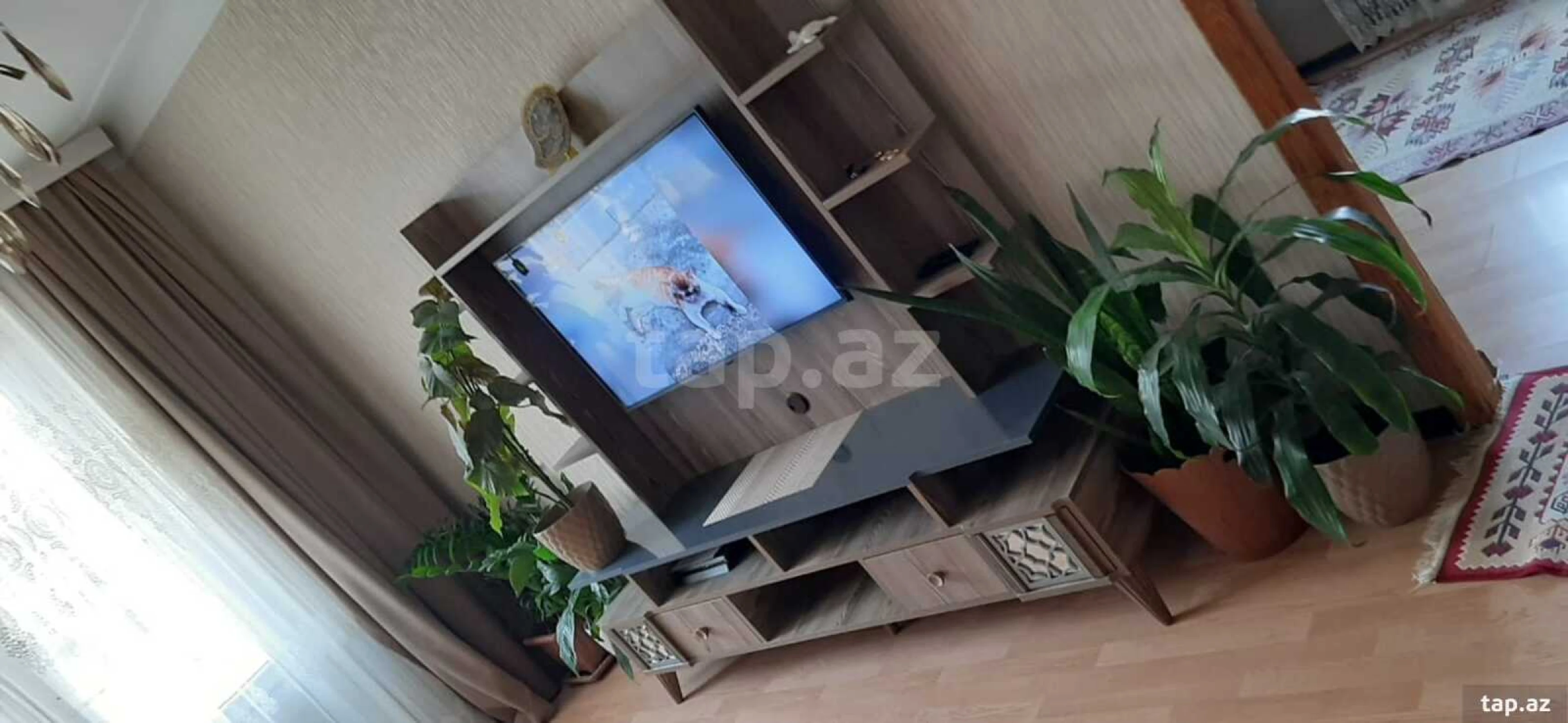 Kirayə verilir 2 otaqlı mənzil 50 m²