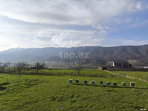 Satılır torpaq sahəsi — Qusar