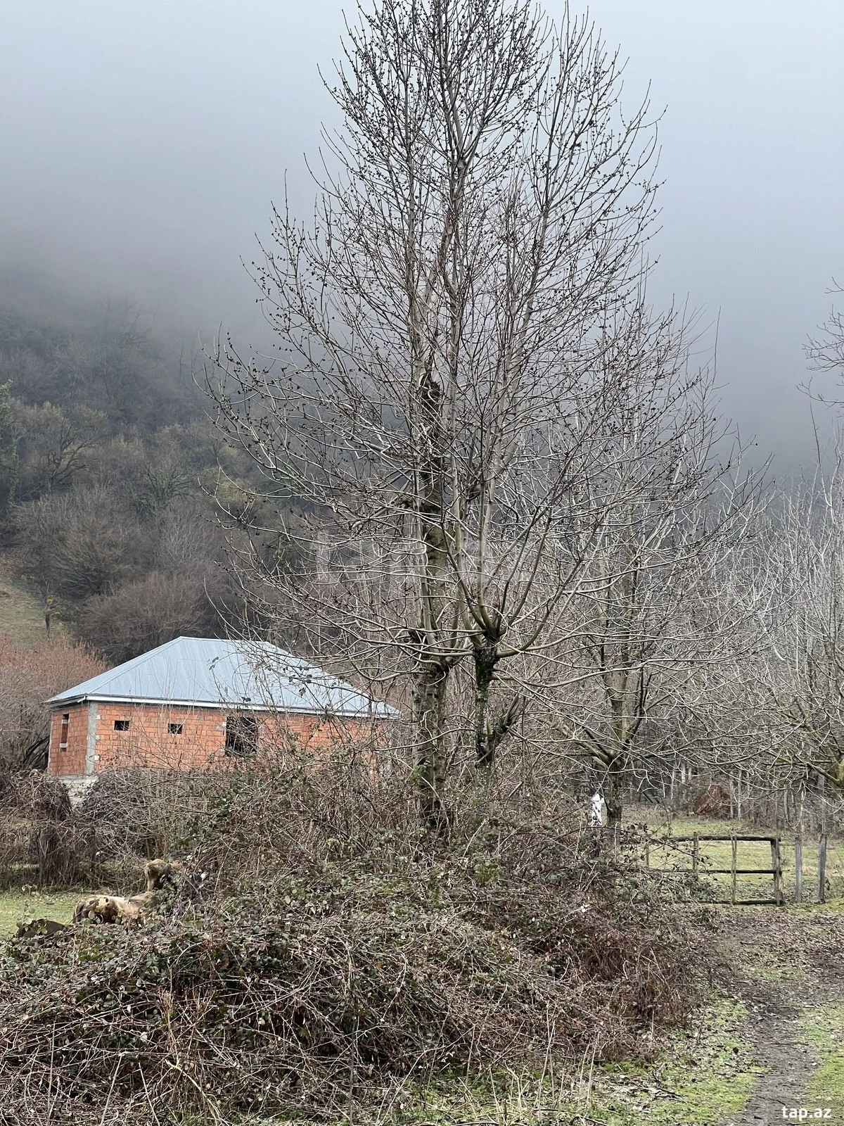 Satılır 3 otaqlı həyət evi 100 m²