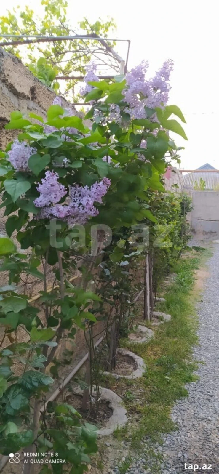 Satılır 3 otaqlı həyət evi 65 m²