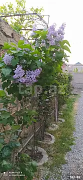 Satılır 3 otaqlı həyət evi 65 m²