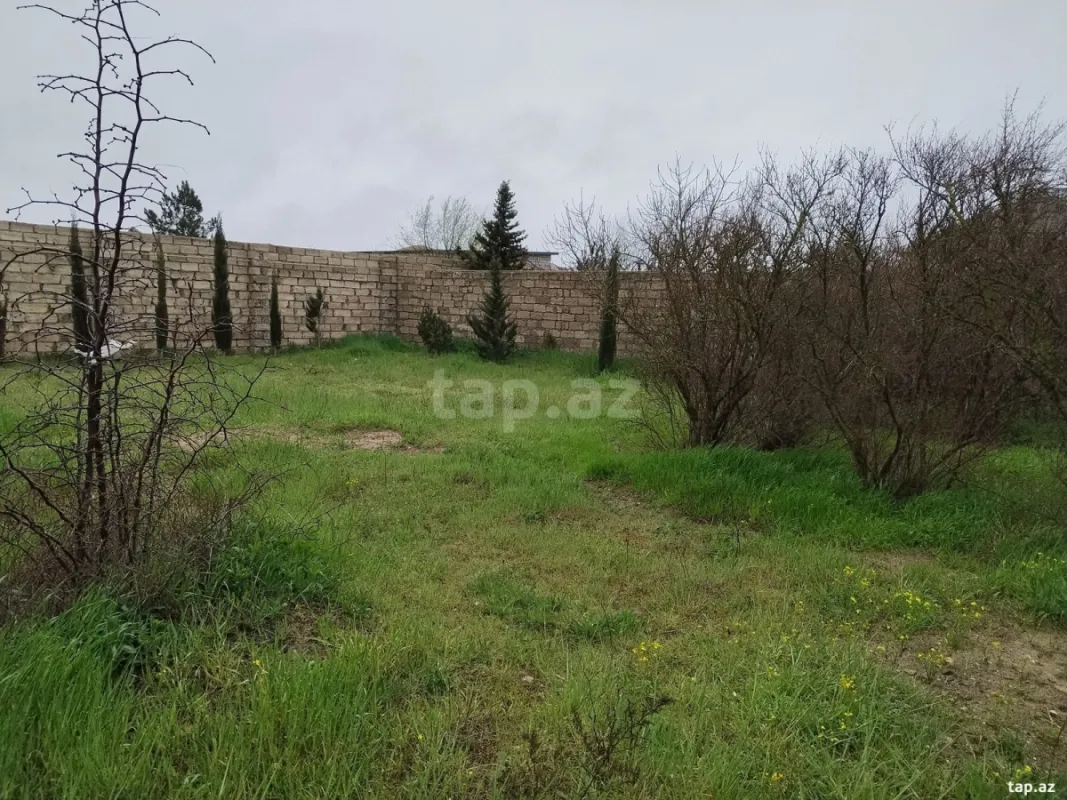 Satılır torpaq sahəsi