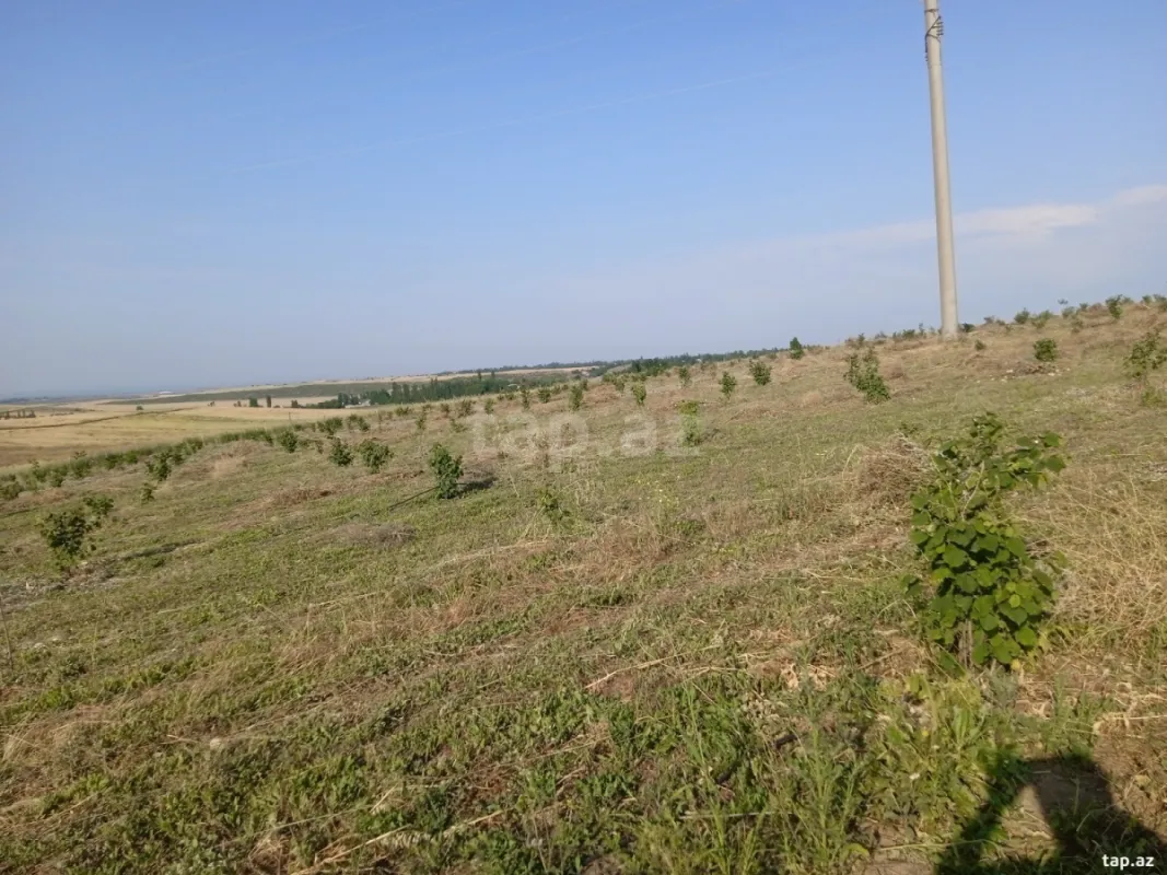 Satılır torpaq sahəsi