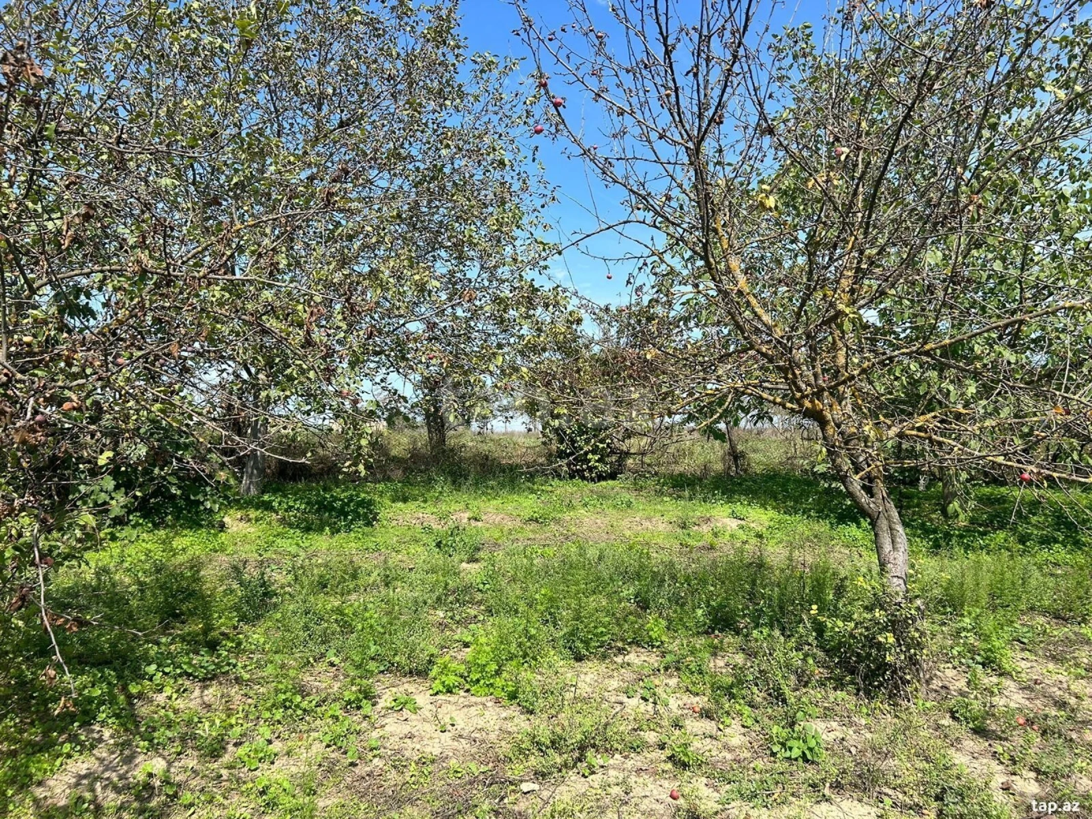 Satılır 5 otaqlı həyət evi 180 m²