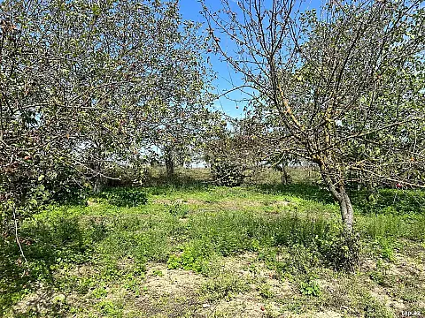 Satılır 5 otaqlı həyət evi 180 m²