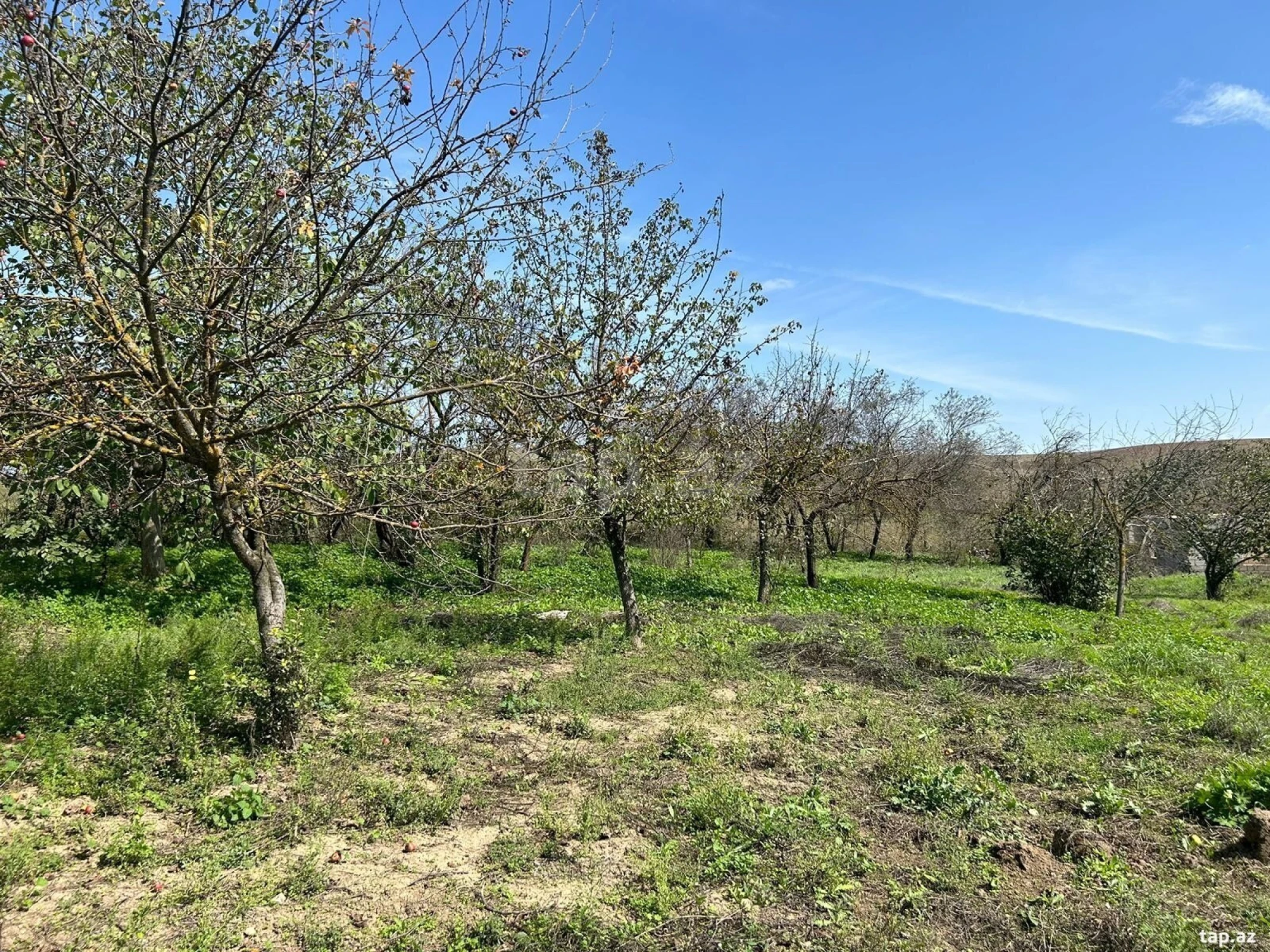 Satılır 5 otaqlı həyət evi 180 m²