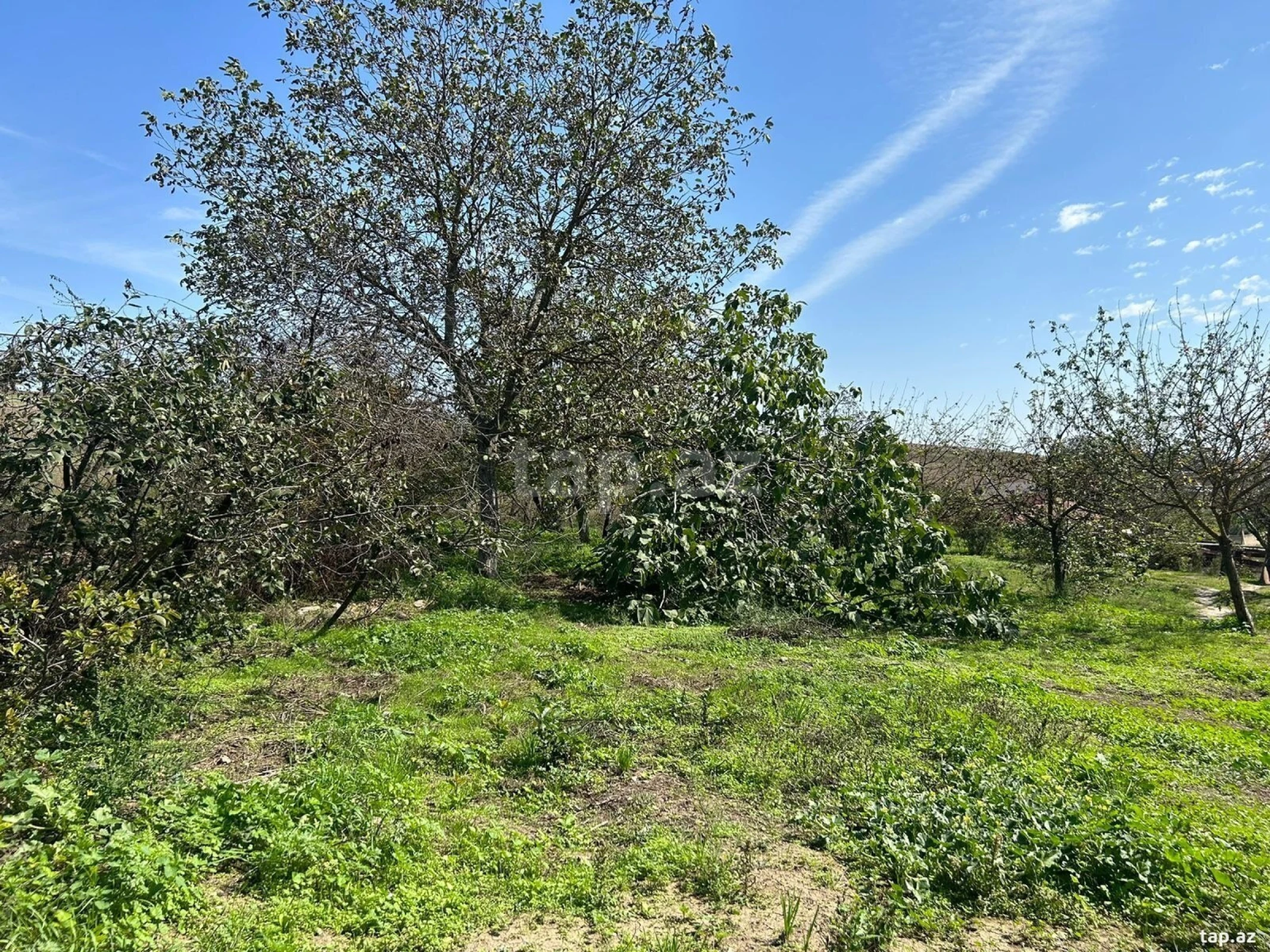 Satılır 5 otaqlı həyət evi 180 m²