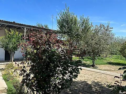 Satılır 5 otaqlı həyət evi 180 m² — Şamaxı 5 otaq 180.00 m²