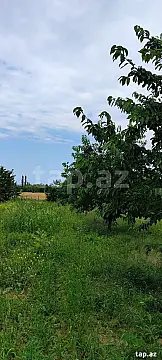 Satılır torpaq sahəsi — Quba