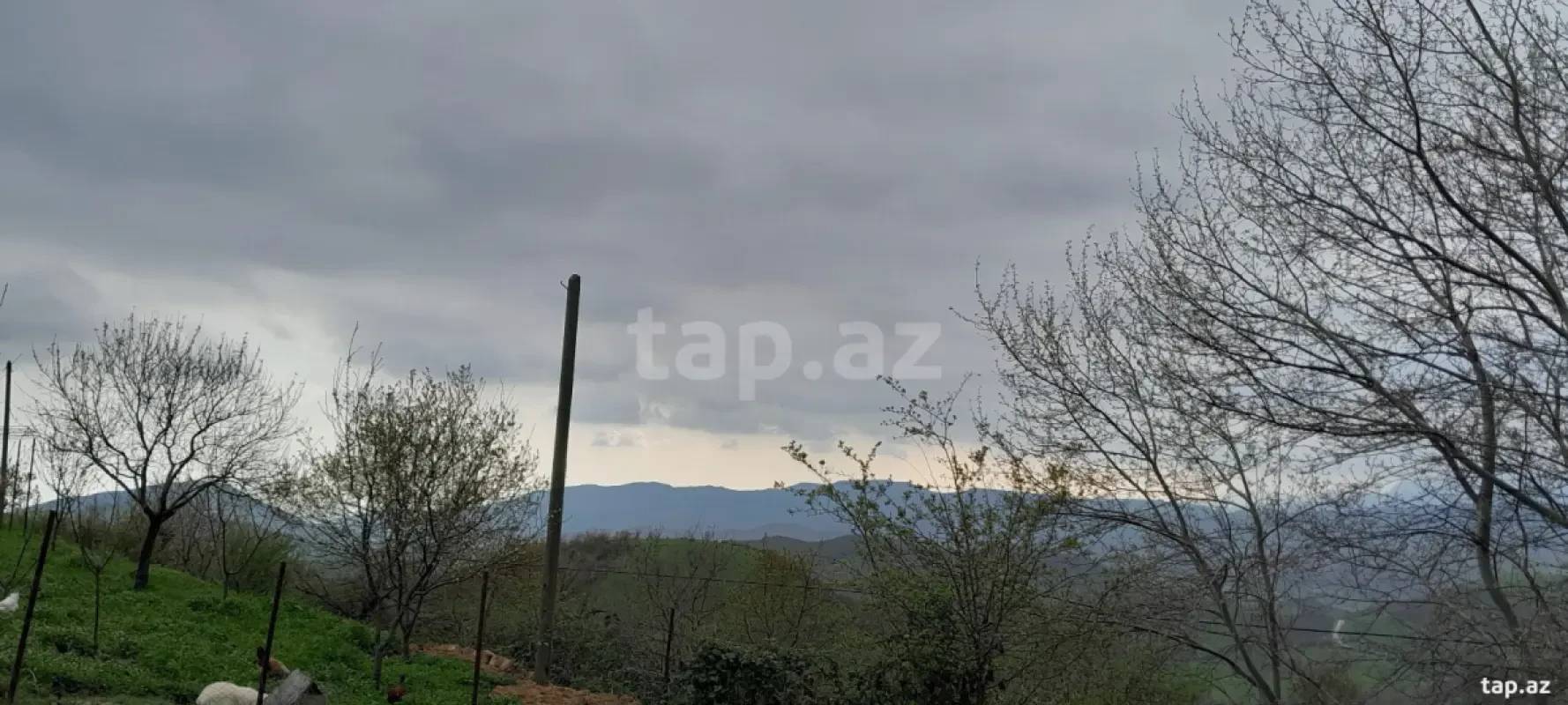 Satılır torpaq sahəsi