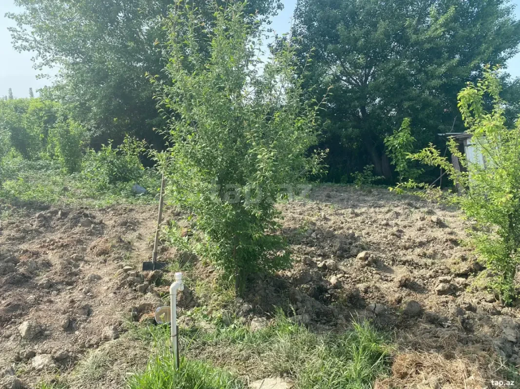 Satılır 3 otaqlı həyət evi 80 m²