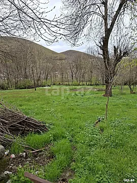 Satılır torpaq sahəsi — Şəki