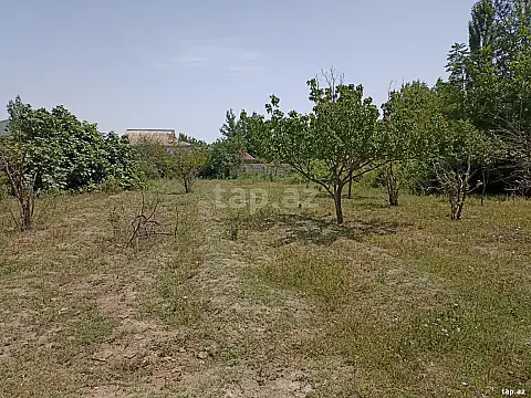 Satılır torpaq sahəsi — Bərdə