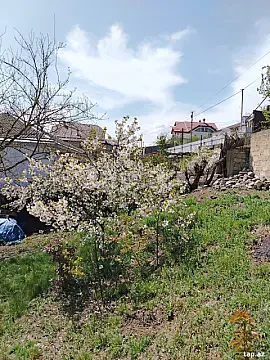 Satılır torpaq sahəsi — Qusar