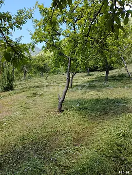 Satılır torpaq sahəsi — İsmayıllı