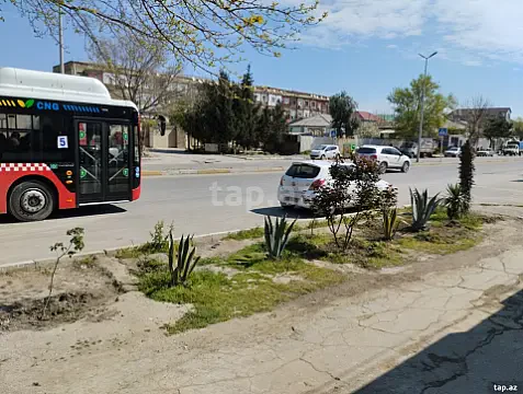 Kirayə verilir obyekt — Sumqayıt