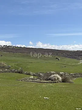 Satılır torpaq sahəsi — Şamaxı