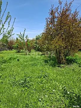Satılır torpaq sahəsi — Ağdaş