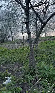 Satılır torpaq sahəsi — Qusar