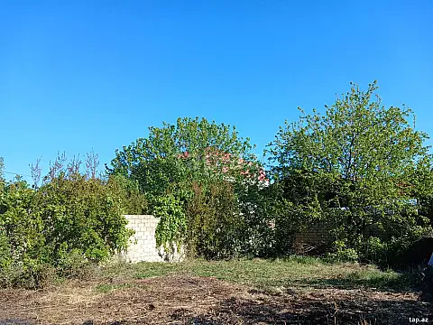 Satılır torpaq sahəsi — Mingəçevir